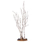 Birch Tree Stand - 9 inch