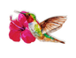 Hummingbird Screen Door Savers -