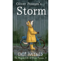 Oliver Possum's Storm - Hardcover