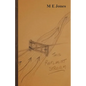 This Refluent Stream - Paperback