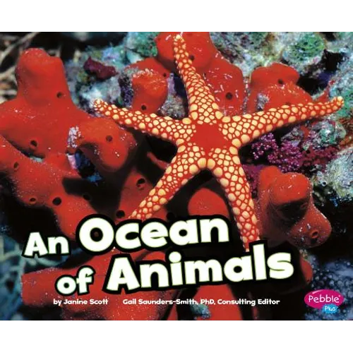 An Ocean of Animals - Paperback