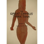 The Great Cyprus Think Tank - Hardcover