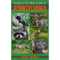 Guide to the Mammals of Pennsylvania - Paperback