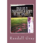High on a Mountain and Down in the Valleys: More Arkansas Tales - Paperback