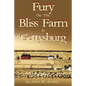 Fury on the Bliss Farm at Gettysburg - Paperback