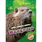 Muskrats - Library Binding