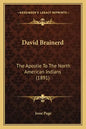 David Brainerd: The Apostle To The North American Indians (1891) - Paperback