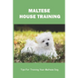 Maltese House Training: Tips For Training Your Maltese Dog: How To Train A Maltese Puppy To Sit - Paperback