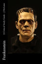 Frankenstein - A Critical Study Guide - Paperback