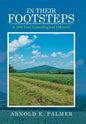 In Their Footsteps: A 500 Year Genealogical Odyssey - Hardcover
