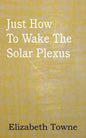 Just How To Wake The Solar Plexus - Paperback