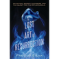 The Lost Art of Resurrection: Initiation, secret chambers and the quest for the Otherworld. - Paperback