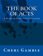 The Book of Acts: A Hands-on Homeschool Curriculum - Paperback