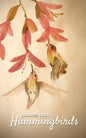 Address Book Hummingbirds - Paperback