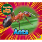 Ants - Library Binding