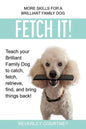 Fetch It!: Teach your Brilliant Family Dog to catch then fetch, retrieve, find, and bring things back - Paperback