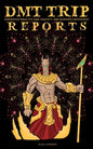 DMT Trip Reports - Experience What It's Like Taking 5 Meo Dimethyltrptamine - Paperback