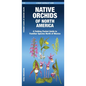 Native Orchids of North America - Paperback