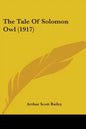 The Tale Of Solomon Owl (1917) - Paperback