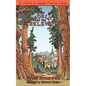 The World of the Wazzlewoods - Paperback