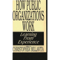 How Public Organizations Work: Learning from Experience - Paperback
