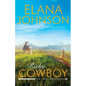 Risky Cowboy: A Mulbury Boys Novel - Paperback