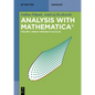 Single Variable Calculus - Paperback