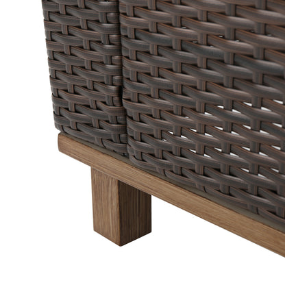 Club Chair PE Rattan Iron Brown Modern Outdoor