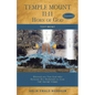 Temple Mount 11: 11 Horn of God - EXPANDED - Paperback