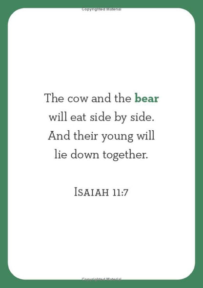 Bible Animal Flash Cards