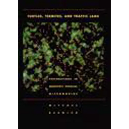 Turtles, Termites, and Traffic Jams: Explorations in Massively Parallel Microworlds - Paperback
