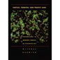 Turtles, Termites, and Traffic Jams: Explorations in Massively Parallel Microworlds - Paperback