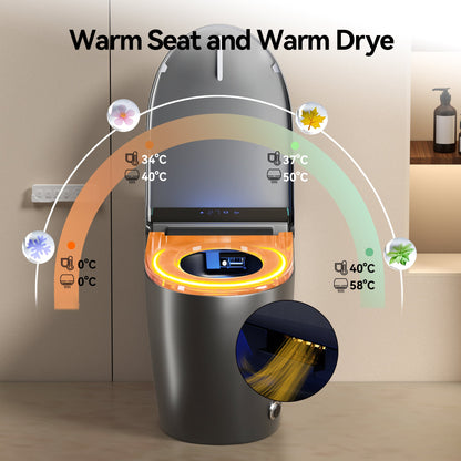 Unique Smart Toile,  One Piece Toilet with Bidet Built In,Intelligent Toilet ...
