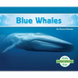 Blue Whales - Library Binding