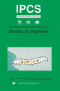 Bacillus Thuringiensis: Environmental Health Criteria Series No. 217 - Paperback