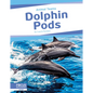 Dolphin Pods - Library Binding