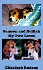 Samson and Delilah - Hardcover