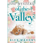 The Mystery Of The Valley - Paperback