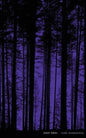 Night Vision - Paperback