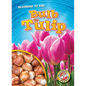 Bulb to Tulip - Library Binding