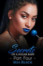 Secrets Of A Sugar Baby 4 - Paperback