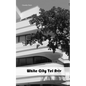 White City Tel Aviv - Paperback