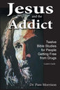 Jesus and the Addict: Twelve Bible Studies for People Getting Free from Drugs A Leader's Guide - Paperback