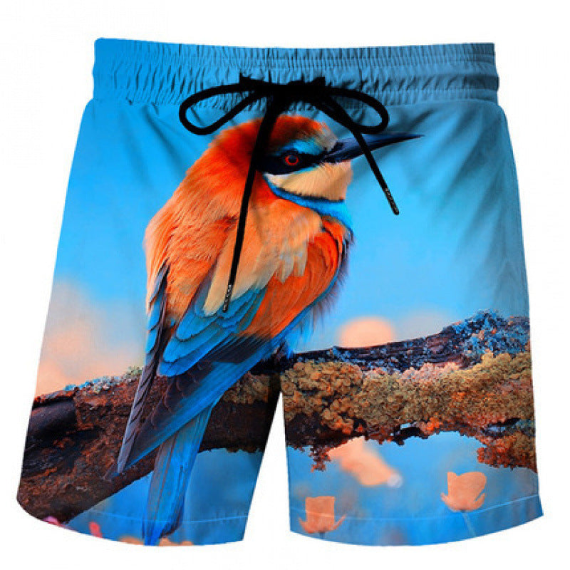 Mens Fashionable Sports Beach Shorts