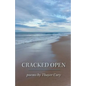 Cracked Open - Paperback