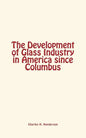 The Development of Glass Industry in America since Columbus - Paperback