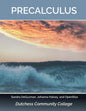 Precalculus - Paperback