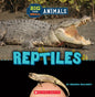 Reptiles (Wild World: Big and Small Animals) - Paperback
