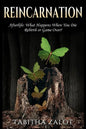 Reincarnation: Afterlife: Life After Death - What Happens When You Die? Rebirth or Game Over? - Paperback