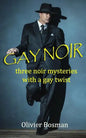Gay Noir - Paperback